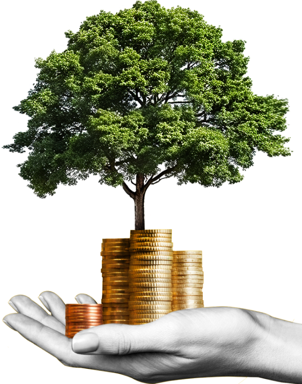 https://elitecoaching.ro/wp-content/uploads/2024/10/inner_image_home_05_01.png